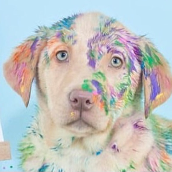 Meet your Posher, Morgan - Picture 1 of 1